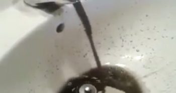 agua sucia espinoso compludo