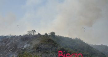 fuego Toreno