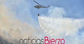 fuego pajariel3.jpg