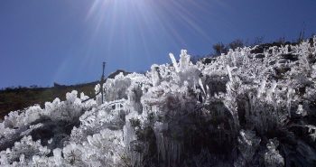 helada hielo.jpg