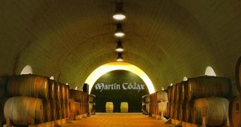martin codax