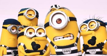 gru 3 marca