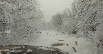 rally nieve ribera folgoso