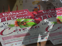 cerezadest (copia)