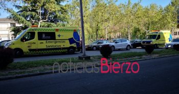 atropello polígono2602987207241322360..jpg