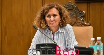 gloria Fernández Merayo pleno.jpg