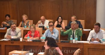 pleno 7-8-18.jpg