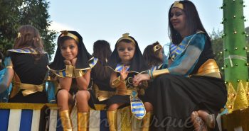 carrozas encina 2018366.jpg