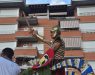 carrozas encina 2018380.jpg