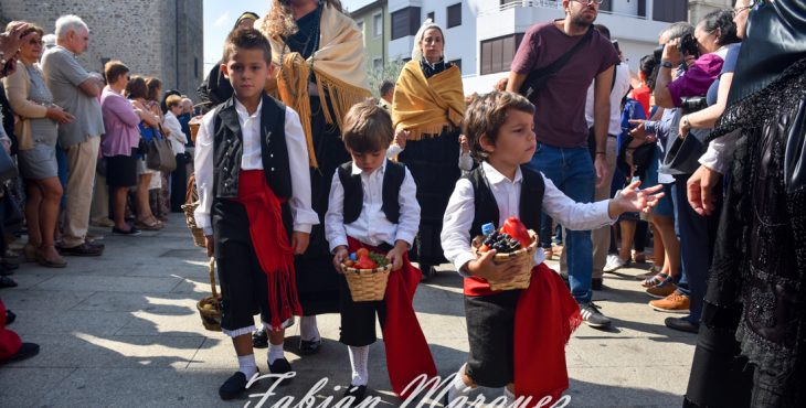 dia encina 2018-17