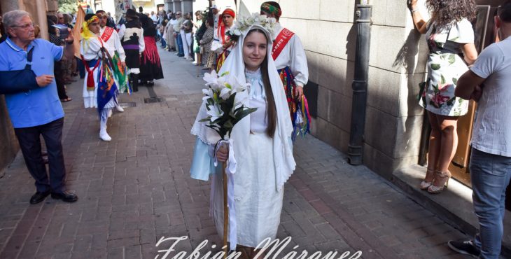 dia encina 2018-8