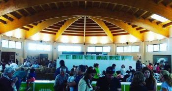 feria marca art fair