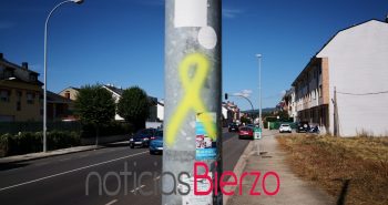 lazo amarillo Camponaraya.jpg