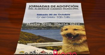 cartel adopción perros.jpg