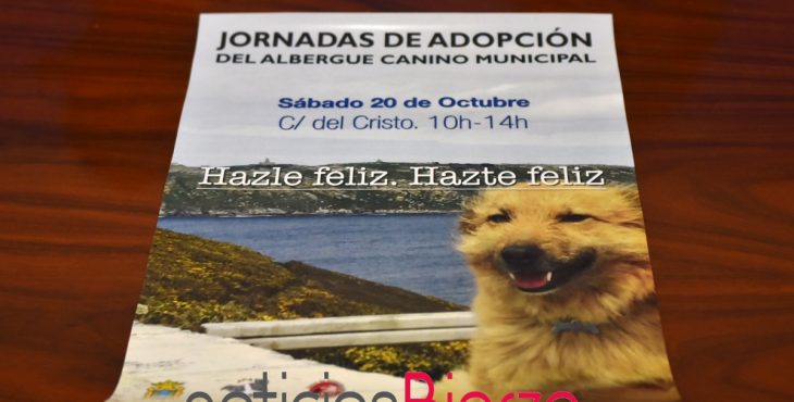 cartel adopción perros.jpg
