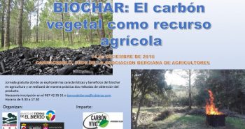 carbon vegetal