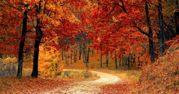 otoño