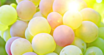 uvas