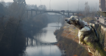 ponferrada dogfriendly
