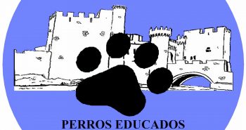 dog friendly ponferrada