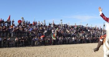XXIII Feria del Caballo de Camponaraya
