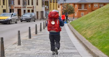 peregrino-1