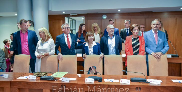 pleno alcalde 2019-1