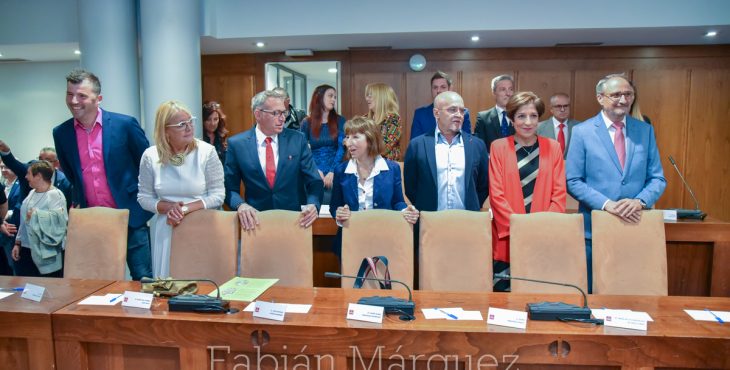 pleno alcalde 2019-4
