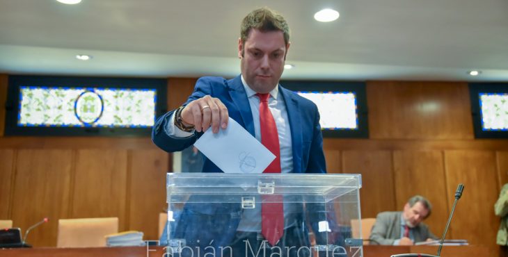 pleno alcalde 2019-51