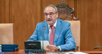 pleno alcalde 2019-66