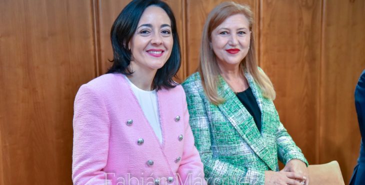 pleno alcalde 2019-7