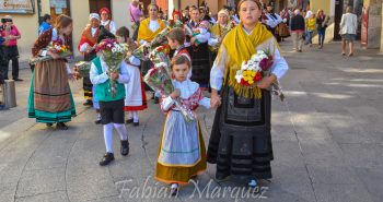 encina 2019-3