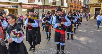 encina 2019-5