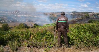 fuego campo2