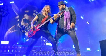 marea 2019-24
