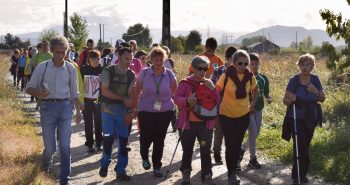 ruta calidad