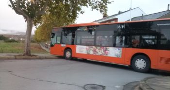 tup bus accidentado