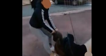 pelea cc