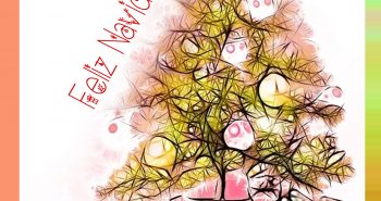 Cartel Camponaraya Navidad 2019