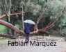 Cierre de parques por las fuertes rachas de viento que se esperan
