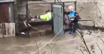 perro atrapado rio