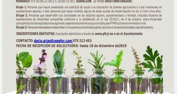 plantas aromáticas