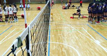 red de voleibol