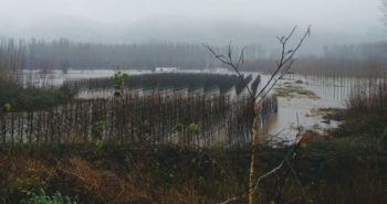 carracedelo inundado