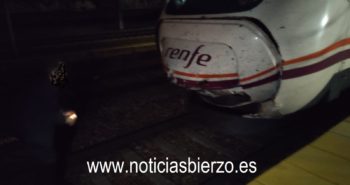 alvia accidentado