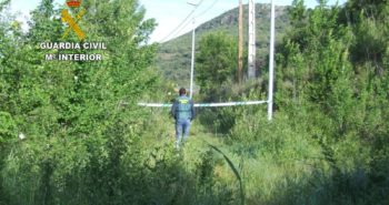 homicidio san juan paluezas