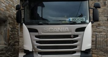 camion acebo