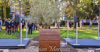 homenaje covid-15