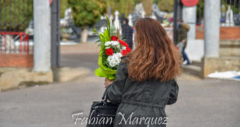 cementerio ponferrada-5