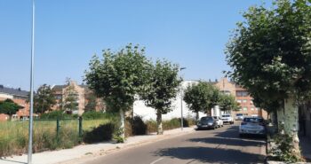 calle pio
